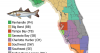 Recreational harvest of snook for Florida’s East Coast will close June 1 