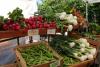 Know Your Farmer: Addressing the Heart of Food Insecurity in Kensington