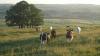 What smarter, fairer farm data means for UK agriculture