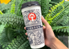 lifestyle Uncovering the secrets behind Chagee’s best-selling jasmine green milk tea