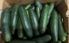 Salmonella Outbreak Linked to Florida Cucumbers Expands to 18 States 45 Sickened
