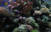 Despite Global Opposition, Trump Just Fast-Tracked Deep-Sea Mining