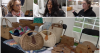 A look inside the small business straightaway at the Detroit Grand Prix