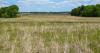 New wetland could show how Michigan can reduce agricultural runoff polluting Lake Erie