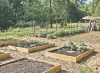 Atlanta turns to the soil to tackle food insecurity