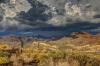 Court revives Native American legal challenge to billion-dollar energy corridor across sacred Arizona land