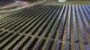 Agrivoltaic Farm Project in Virginia Hosts Solar, Sheep and 500,000 Bees
