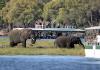 Chobe’s profits climb as tourism helps offset diamond slowdown