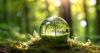 Setting up sustainability: Communication may be all that stands between food firms and targets