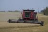 Agricultural Producers Association of Saskatchewan releases report into food product pricing in the retail chain