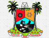 Lagos to profile, repatriate 396 beggars arrested in sanitation crackdown + Video