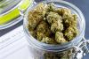 What Science Says About Keeping Cannabis Fresh