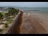 Scientists detect record pile-up of sargassum in the Caribbean, nearby areas in May