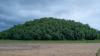 The importance of mangroves in addressing climate change in Ghana