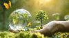 World Environment Day 2025: History, Significance, Theme, Celebration, and More