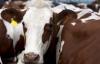 Biosecurity is vital for SA’s successful agricultural growth and export strategy