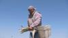 'We'd starve in this country' | What Trump's immigration policies mean for the Washington agriculture industry