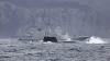 UK SSN AUKUS grand plan hinges on ‘significant’ shipbuilding investment: Analysts