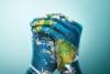 EDITORIAL – This World Environment Day, Support Earth.Org’s Non-Profit Climate Journalism