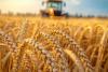 Stakeholders Urge EFSA Reform to Boost EU Agri-Food Competitiveness