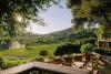 Wine CEO’s Sabbatical Leads To Renewed Passion For Work And Vineyards