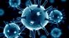 Australian scientists make big breakthrough in HIV research