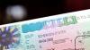 Afghan Local Staff Cannot Sue Germany for Entry Visa, Court Rules