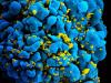 Scientists Make Breakthrough Toward HIV Cure Using mRNA Technology