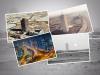 Dubai World Trade Centre’s rise to business hub glory