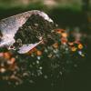 New study links global warming to rising antibiotic...