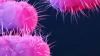 Australian Scientists Have Found A Way To Fight Superbug That Kills 10 Lakh Every Year