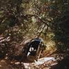 Music Review: Virtuosic guitarist Ty Segall finds a new sweet spot on his laid-back ‘Possession’