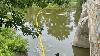 Director of Chemical Company to stand trial over oil spill in Flint River