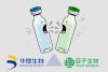 Chinese Skincare Company Refutes ‘False Advertising’ Claims