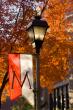 Muhlenberg receives $1M for endowed business professorship