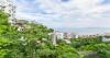 Dengue fever warning issued by CDC for Mexico and more