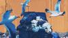 Ford government proposes major rollback of Blue Box recycling rules