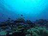 Costa Rican Fishermen Sound Alarm on Gulf of Nicoya’s Overfishing Crisis