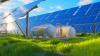 “40% More Hydrogen From Sunlight”: Scientists Unleash Breakthrough Method That Could Reshape Global Green Energy Forever