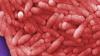 How Salmonella contamination spreads and what it means for consumers