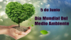 Environmental Management in Cuba is the Responsibility of the State