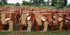 FAWAG backs Mahama’s ban on wooden school furniture
