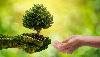 Cross River to plant one million trees on World Environment Day 2025
