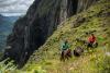 A Journey to the Essence of Spain: Primitivo Travel