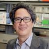 A Scholar’s Ascent: Filipino-American Biologist Michael Purugganan to Lead NYU’s Arts and Science Division