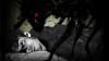 The science of sleep paralysis, a brain-body glitch making people see demons and witches