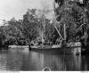 Tassie III – A tale of three ships