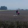 What cuts to nature-friendly farming mean for farmla...