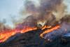Wildfires Have Significant Impacts on Respiratory Health
