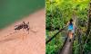 Life-threatening disease erupts on Australia's doorstep as urgent travel warning is issued